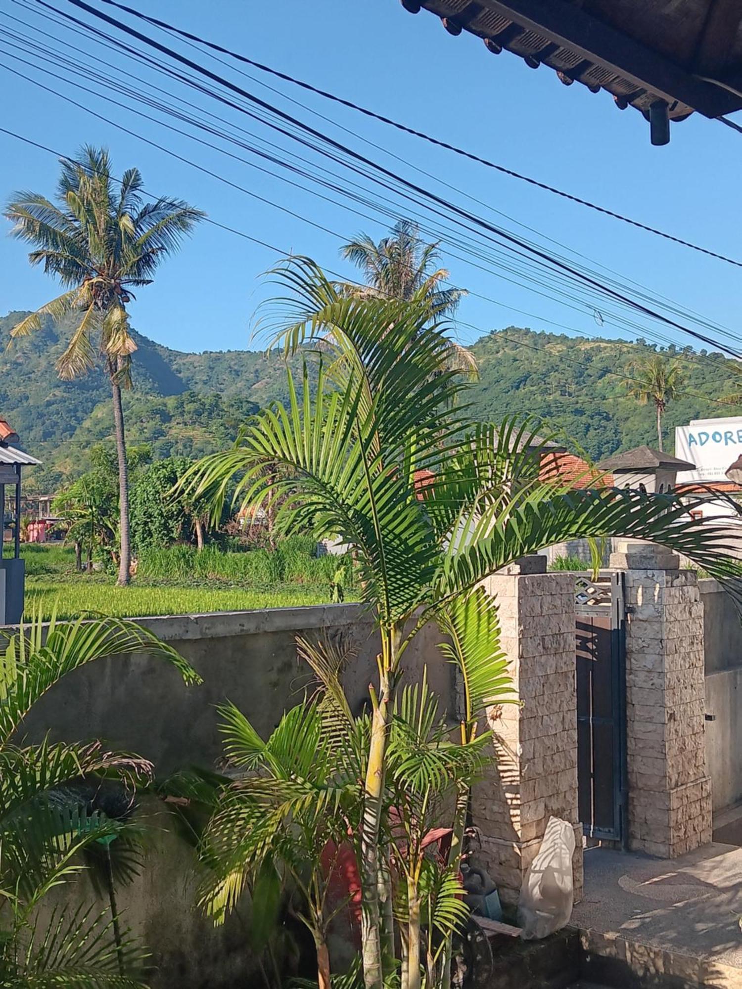Adore Guesthouse Amed  Phòng bức ảnh