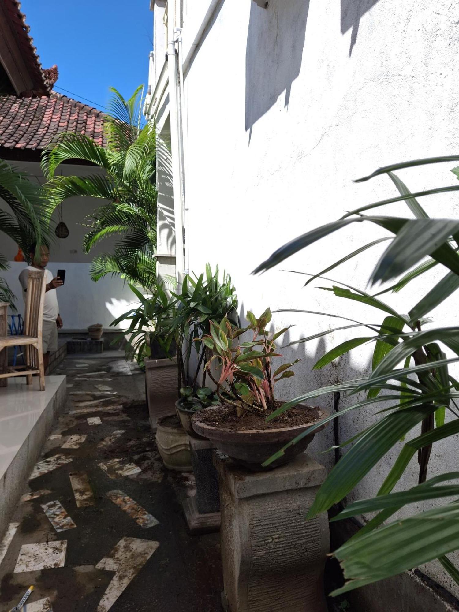 Adore Guesthouse Amed  Phòng bức ảnh